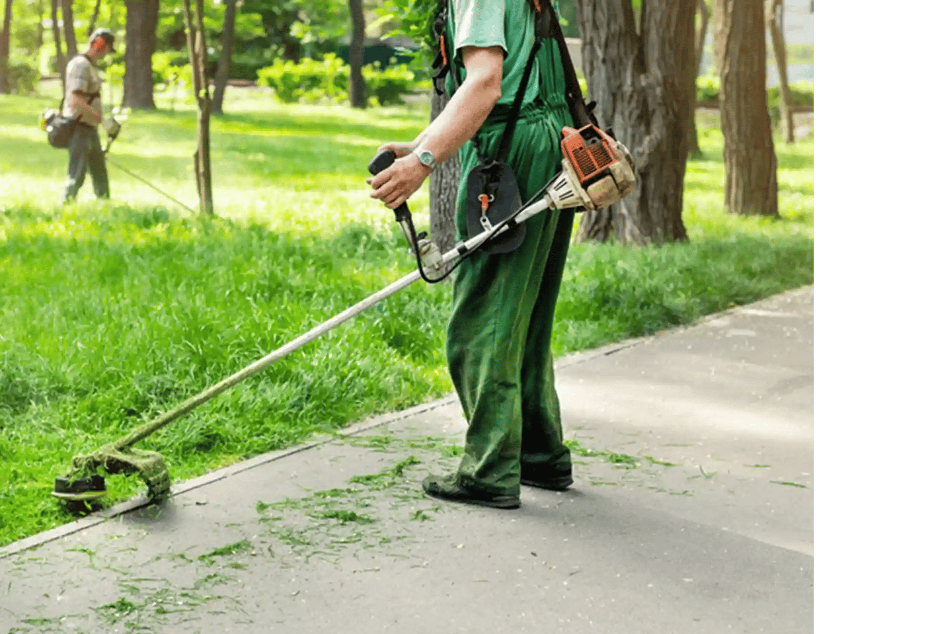 Field teams manually controlling weeds