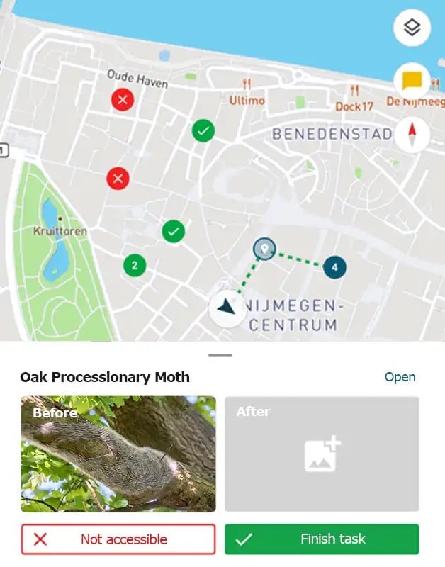 Tasks application for Oak processionary moth control