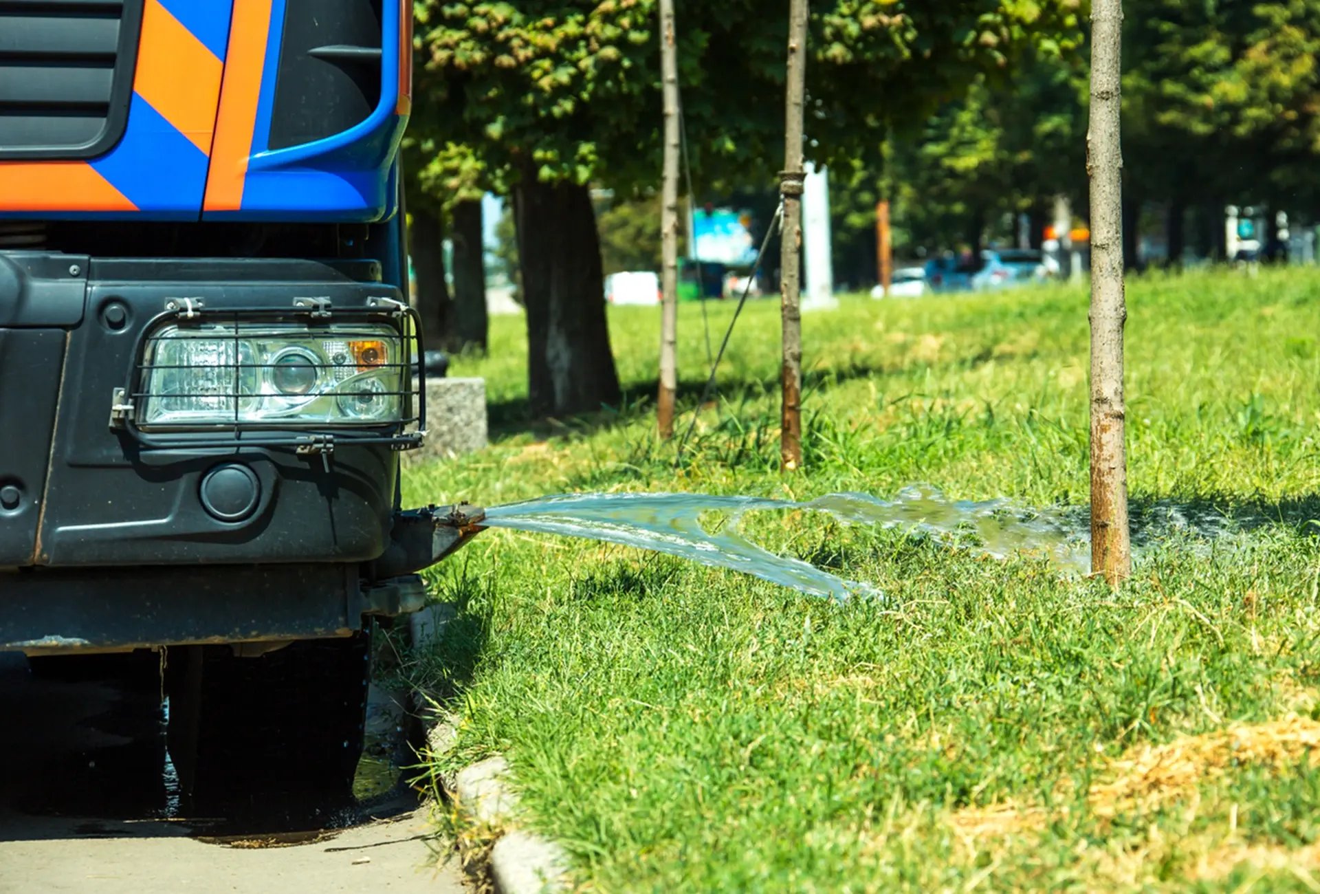 BOR level 3 content 6