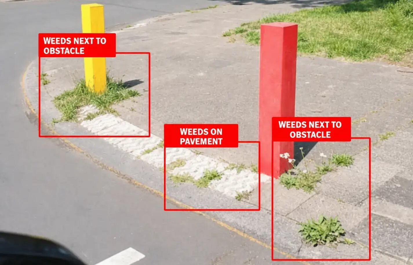 Weeds on pavement AI detections
