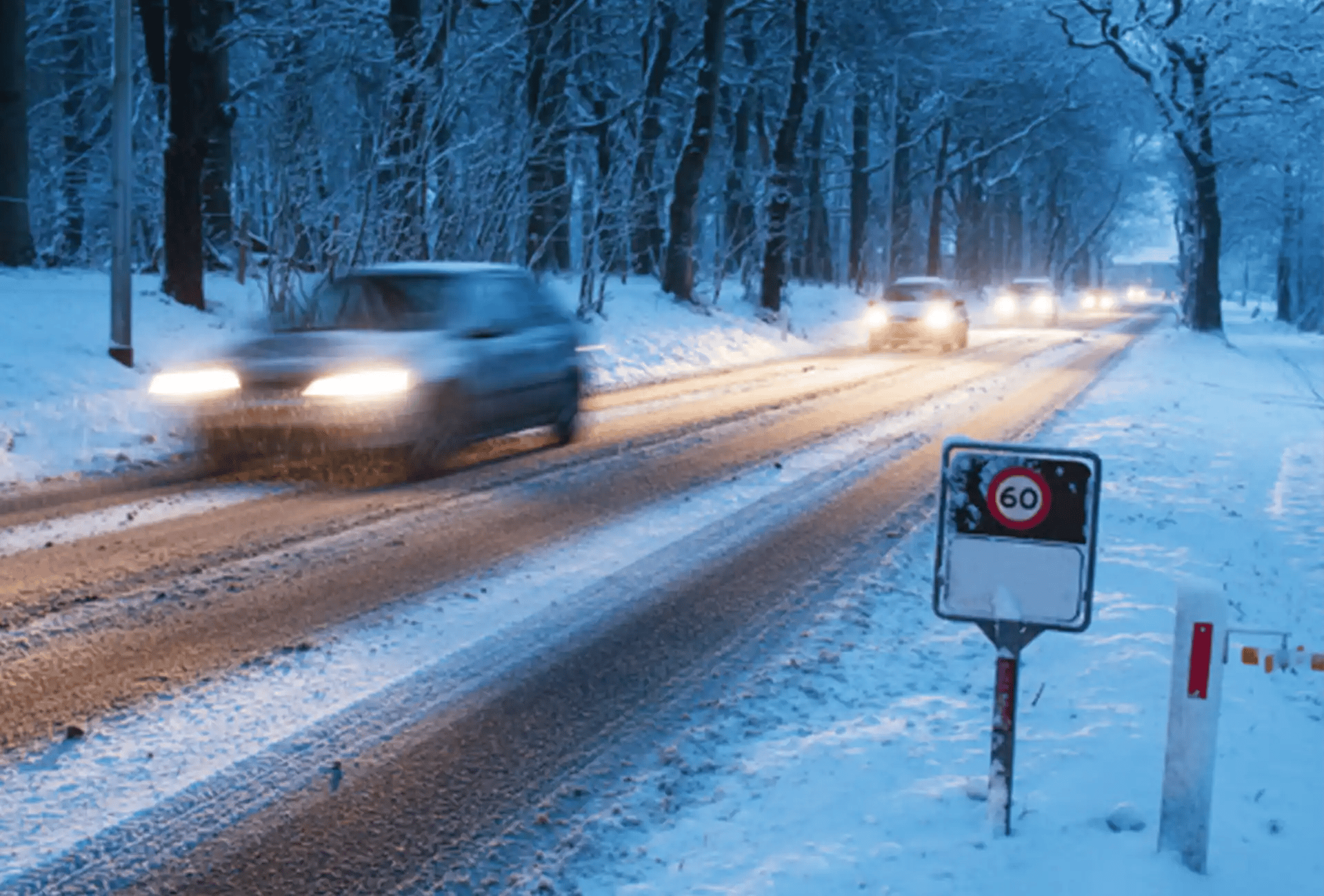 GLD level 3 content 8