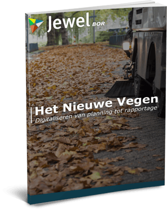 ecover e-book BOR Vegen