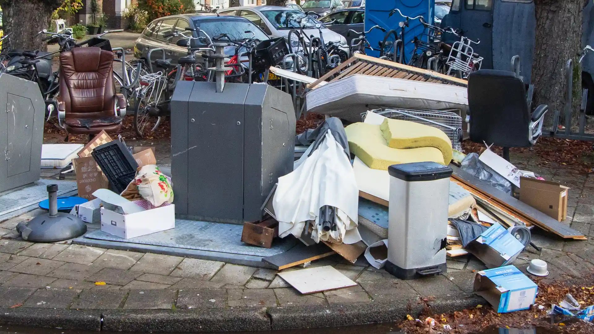 iStock-2242784916 (1) copy