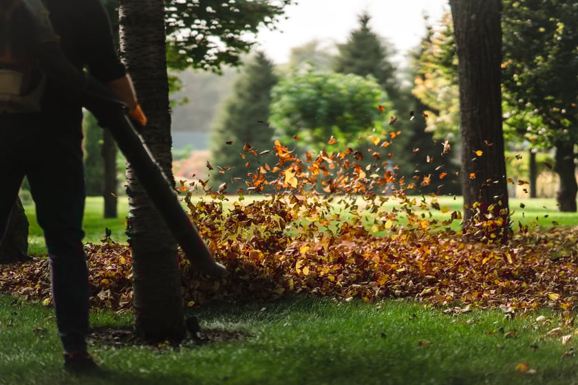 Laubkampagne im Herbst: Frau bläst Laub auf