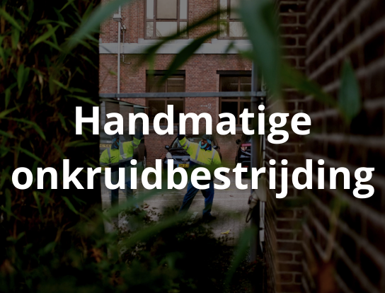 Handmatige onkruidbestrijding