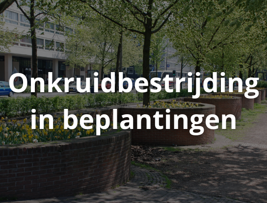 Onkruidbestrijding in beplantingen