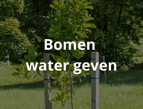 Bomen water geven