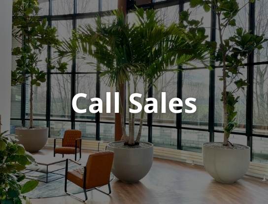 Call Sales