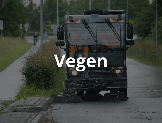 Vegen-1