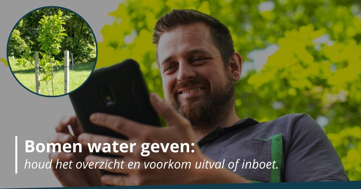 Bomen water geven: houd het overzicht en voorkom uitval of inboet