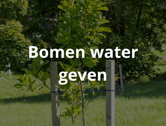 Bomen water geven