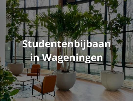 Studentenbijbaan Wageningen